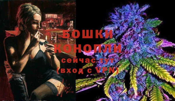 молекула духа Зеленокумск