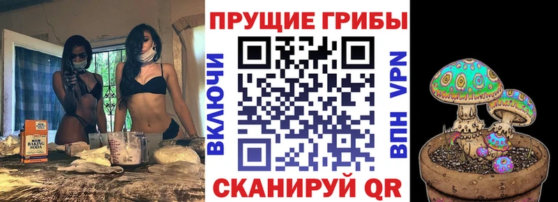 Купить  Железногорск-Илимский  Псилоцибиновые грибы ЛСД 